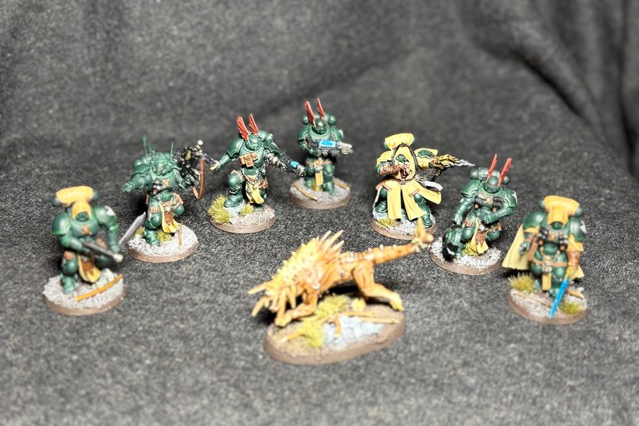 Dark Scouts roster portrait